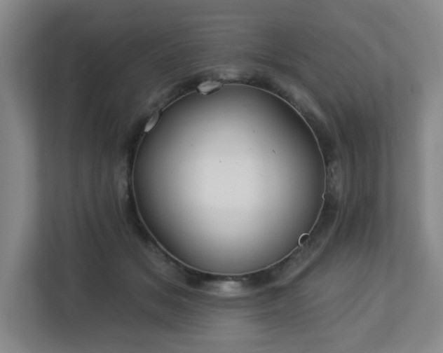 X0000113120509200909041309