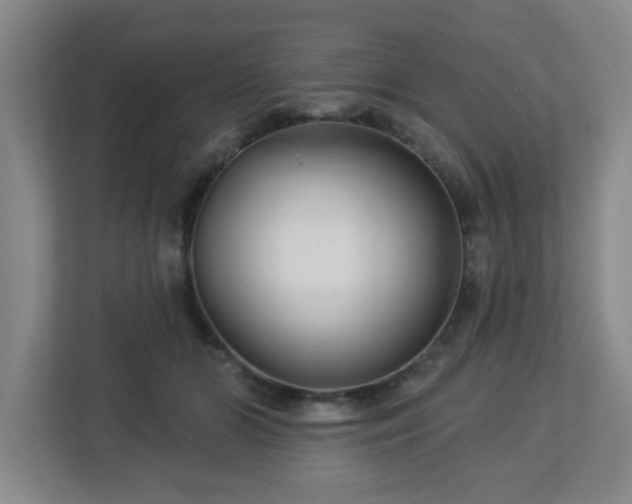 X0000113120510200909041308