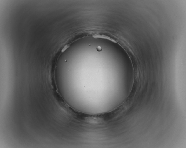 X0000113120512200909041308