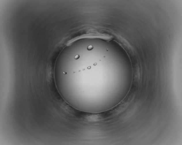 X0000113120513200909041308