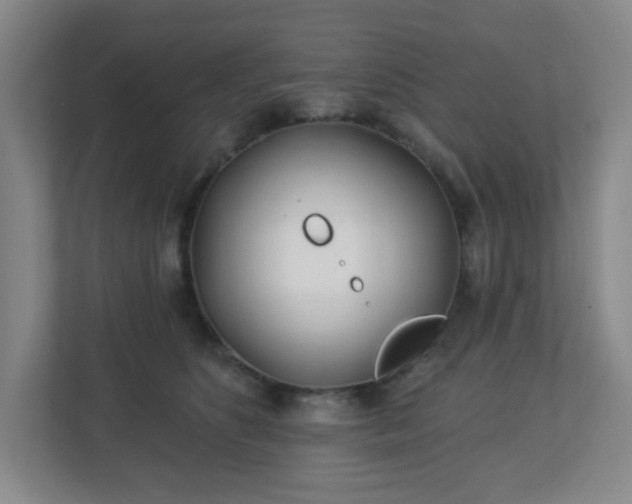 X0000113120516200909041308