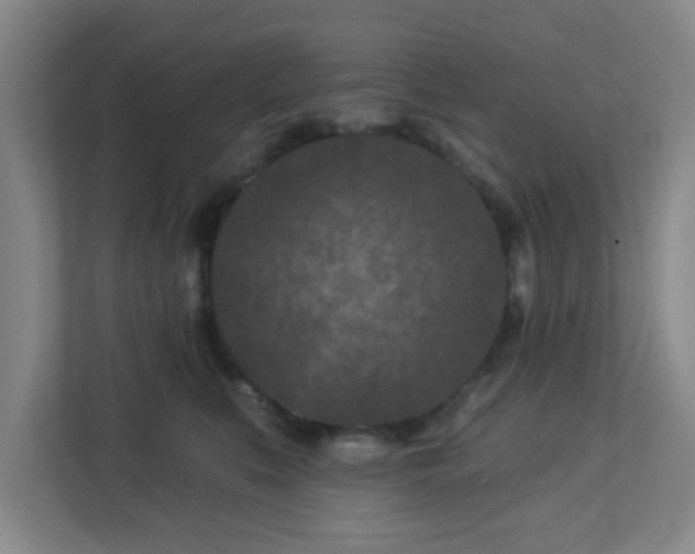 X0000113120519200909041308