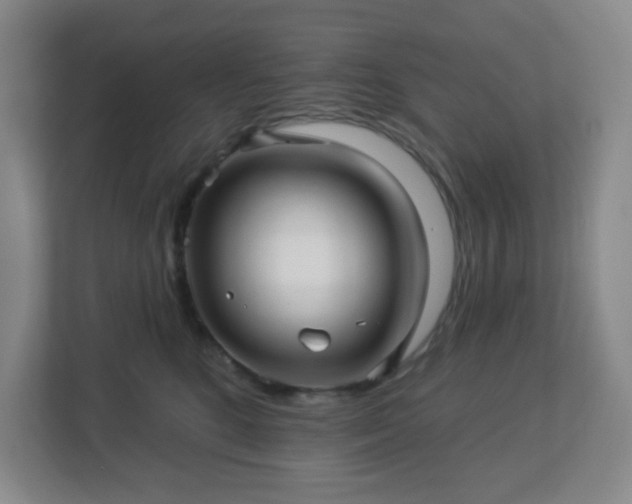 X0000113120520200909041308