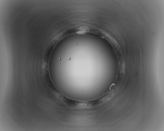 X0000113120521200909041308