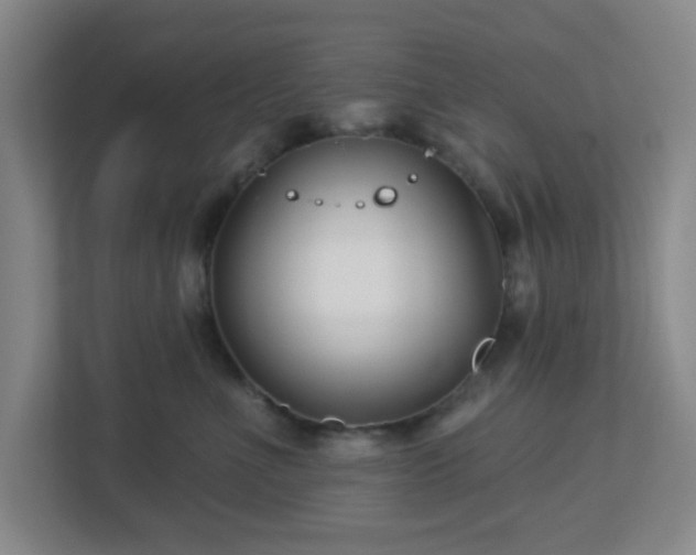 X0000113120523200909041308