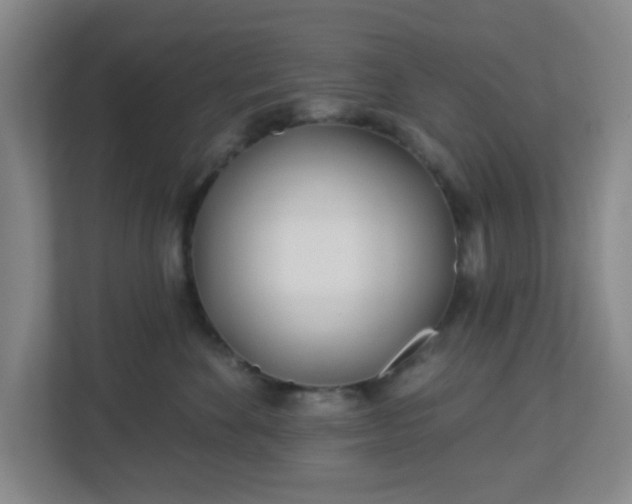 X0000113120524200909041308