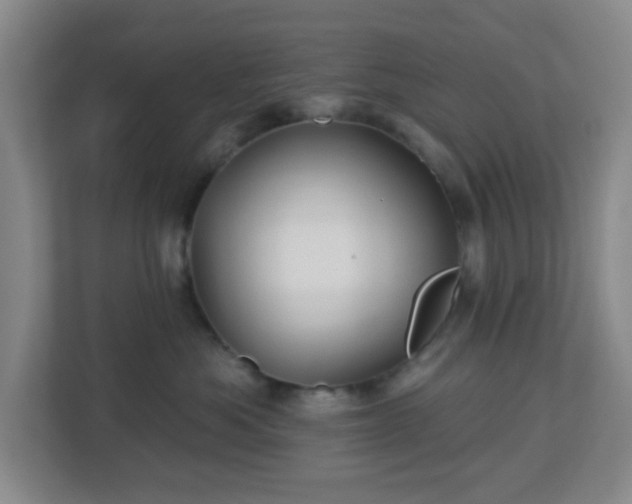 X0000113120525200909041308