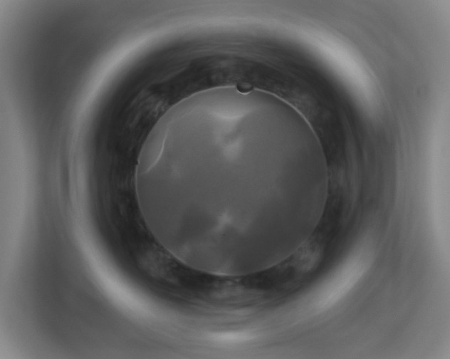 X0000113120526200909041308