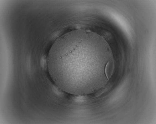 X0000113120527200909041308