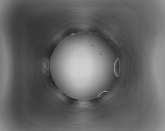 X0000113120528200909041308