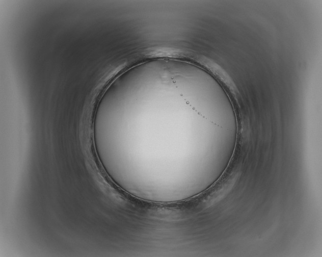 X0000113120529200909041308