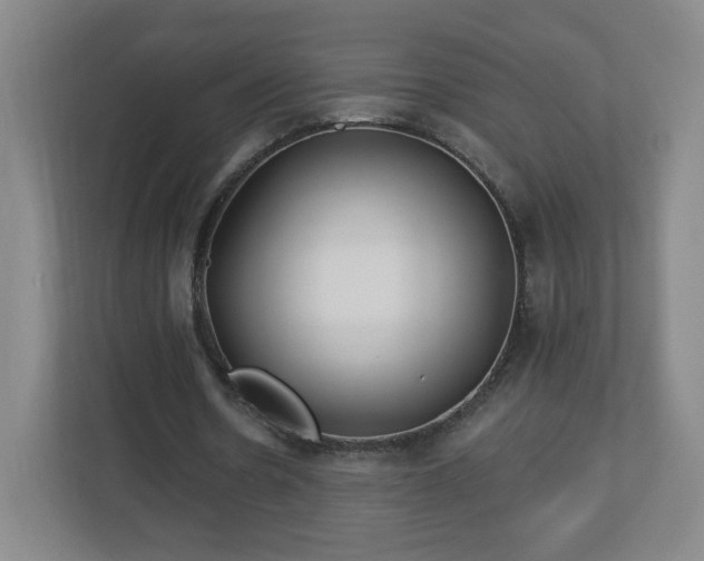 X0000113120530200909041308