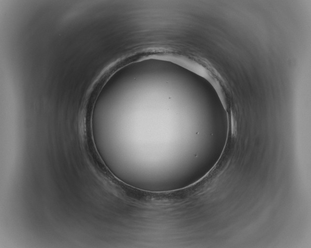 X0000113120531200909041308