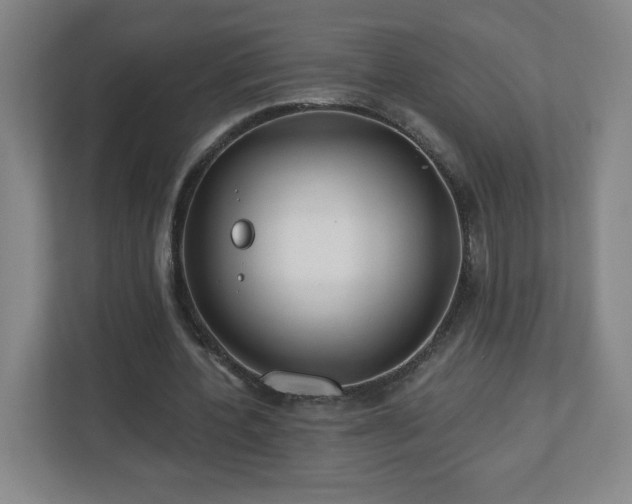 X0000113120532200909041308