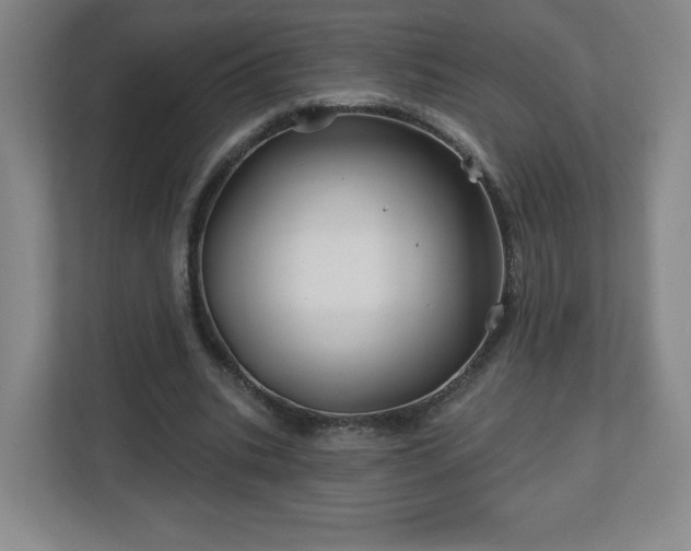 X0000113120535200909041308