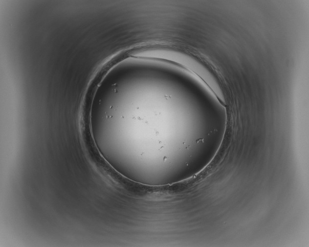 X0000113120536200909041308