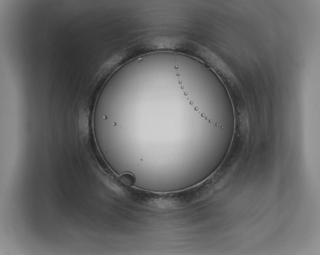 X0000113120537200909041308