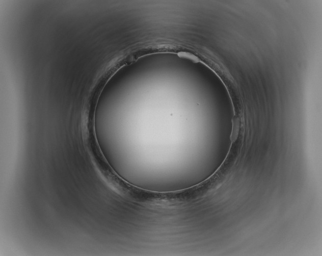 X0000113120538200909041308