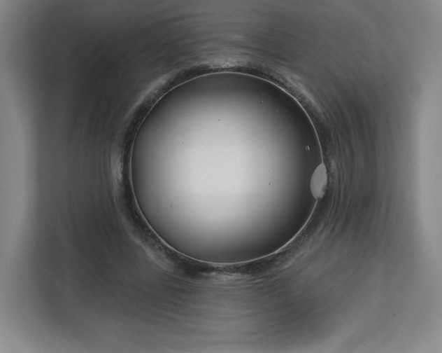 X0000113120539200909041308