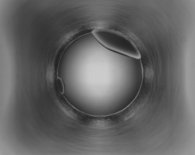 X0000113120540200909041308