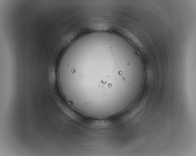 X0000113120541200909041308