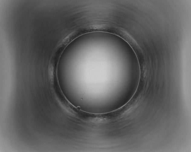 X0000113120542200909041308