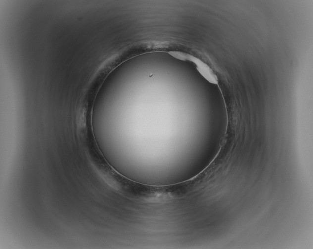 X0000113120543200909041308