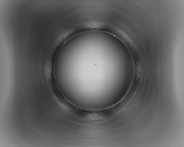 X0000113120544200909041308