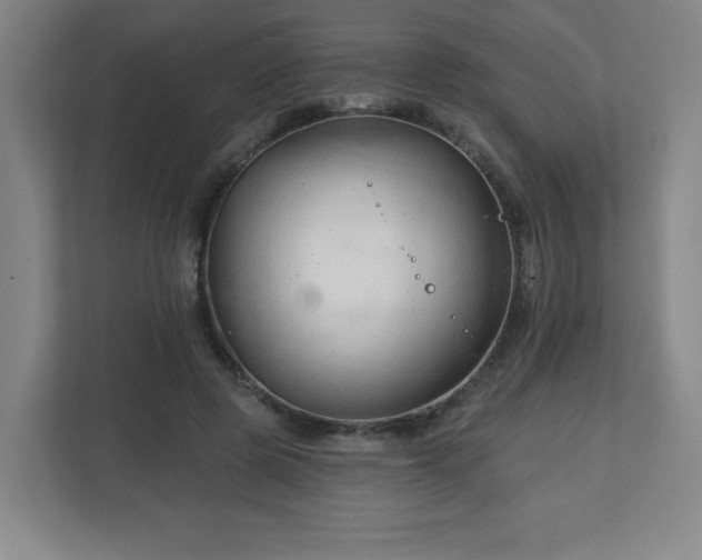 X0000113120545200909041308