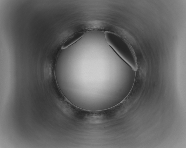 X0000113120546200909041308