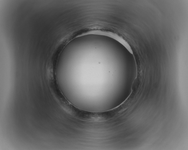 X0000113120547200909041308