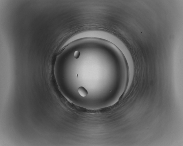 X0000113120548200909041308