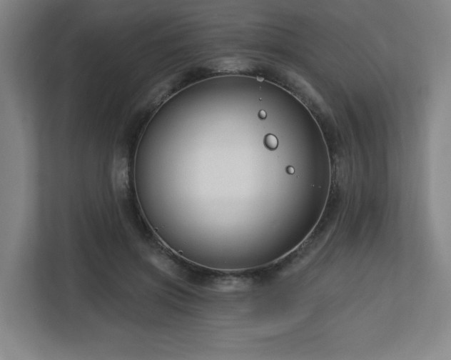 X0000113120549200909041308