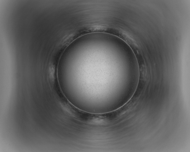 X0000113120550200909041308