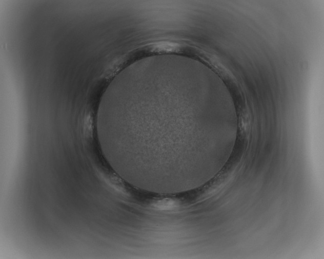 X0000113120551200909041308