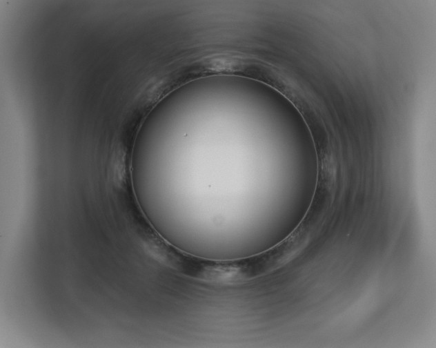 X0000113120554200909041308