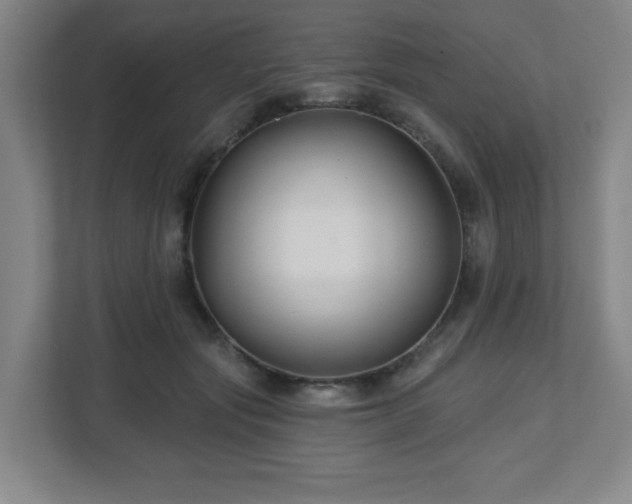 X0000113120557200909041308