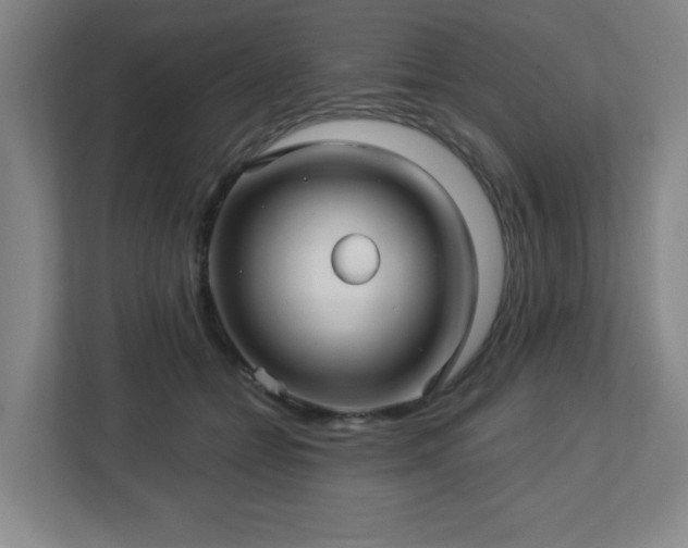 X0000113120558200909041308