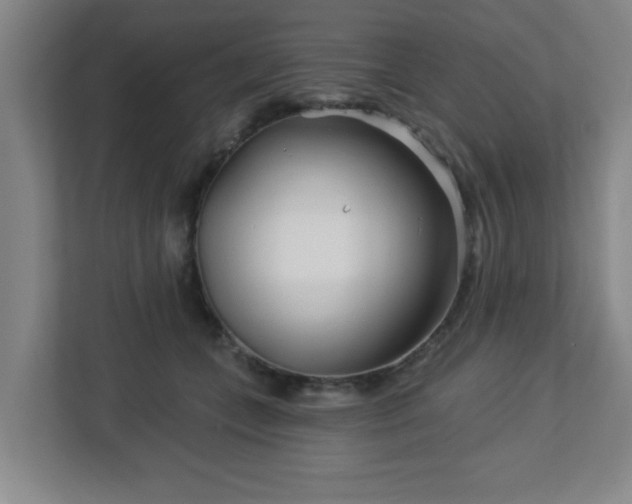 X0000113120559200909041308