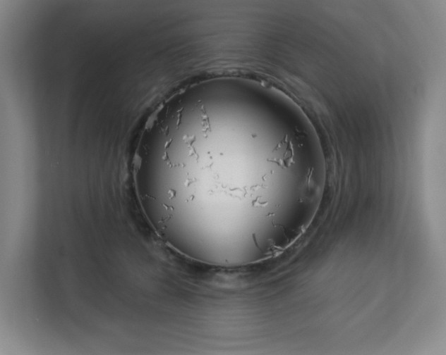 X0000113120560200909041308