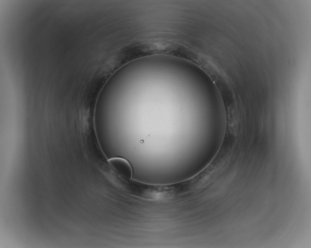 X0000113120563200909041308