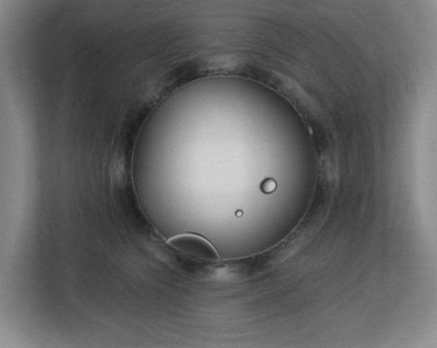 X0000113120564200909041308