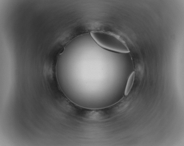 X0000113120566200909041308