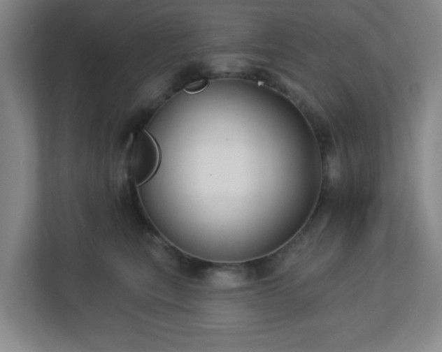 X0000113120567200909041308