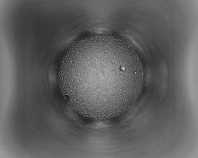 X0000113120569200909041308