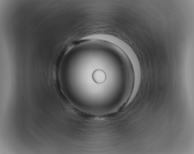 X0000113120570200909041308