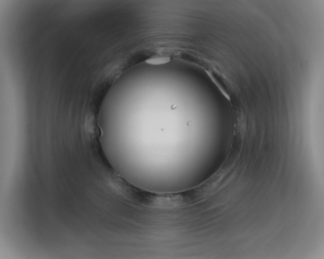 X0000113120571200909041308