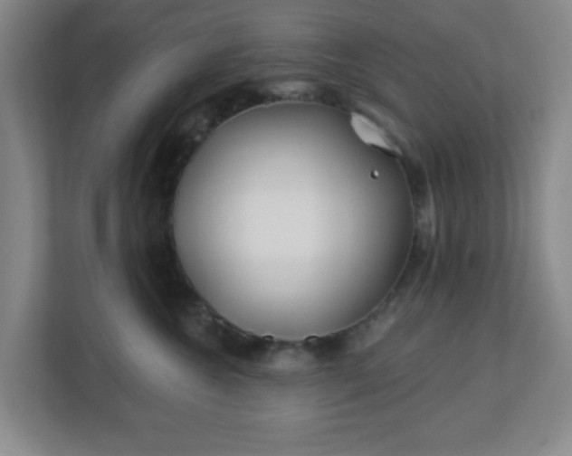 X0000113120572200909041308