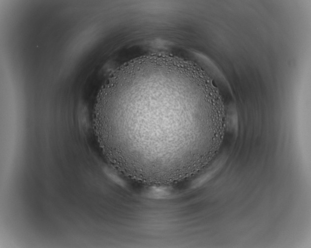 X0000113120573200909041308