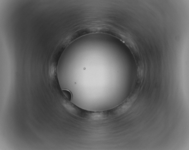 X0000113120574200909041308